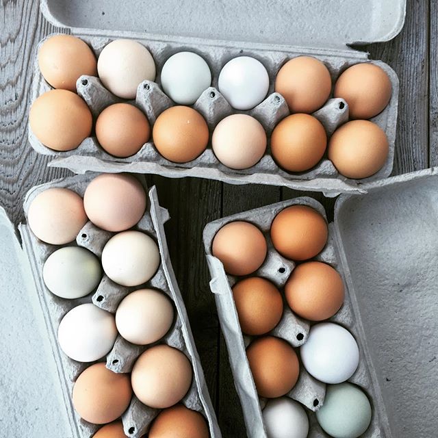 Assorted eggs in various colors displayed in cardboard cartons on a wooden surface, showcasing the diversity of farm-fresh eggs.